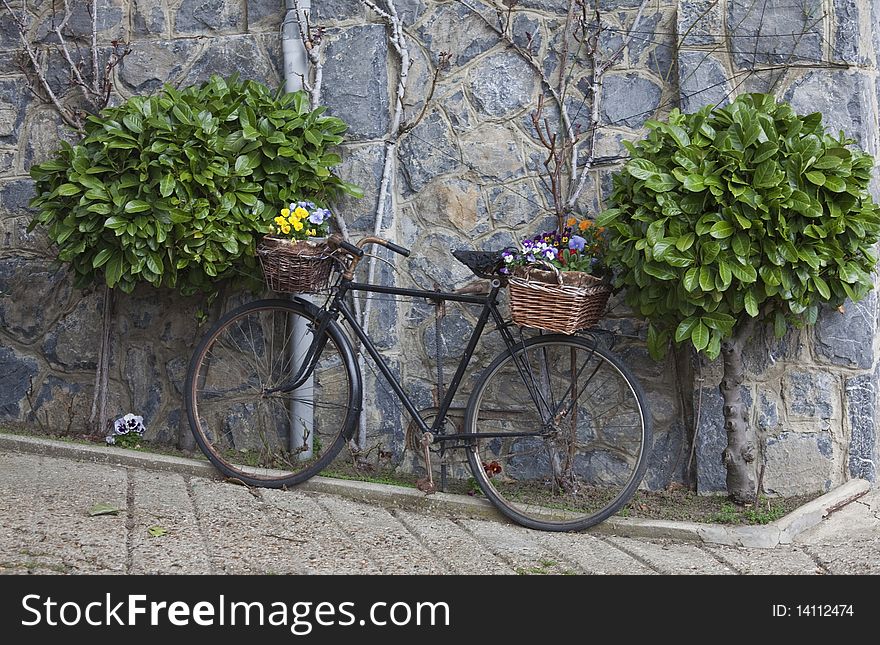 Decorated Bike