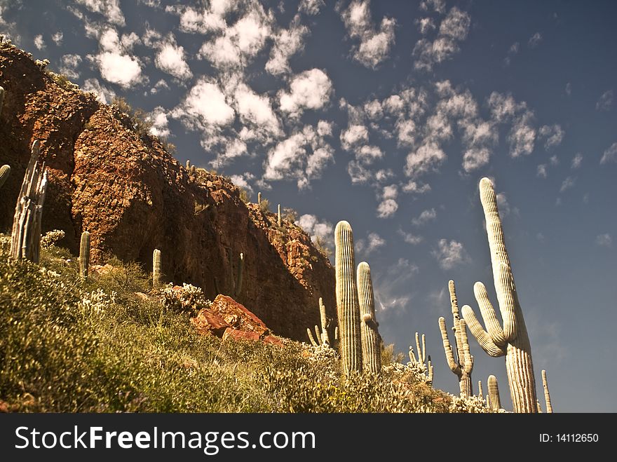 This is a picture of desert cliffs from Arizona's Tonto National Monument