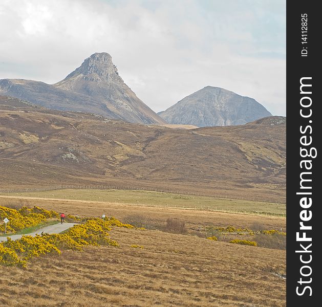 An image of the mountain, Stac Polly, viewed from a point near to Auchiltibuie and showing the yellow gorse blooming in early Spring. . An image of the mountain, Stac Polly, viewed from a point near to Auchiltibuie and showing the yellow gorse blooming in early Spring. .