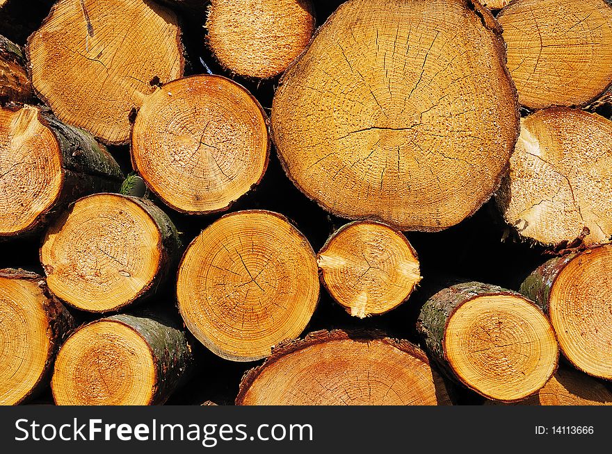 Sawn ends of wooden logs stacked in pile. Sawn ends of wooden logs stacked in pile