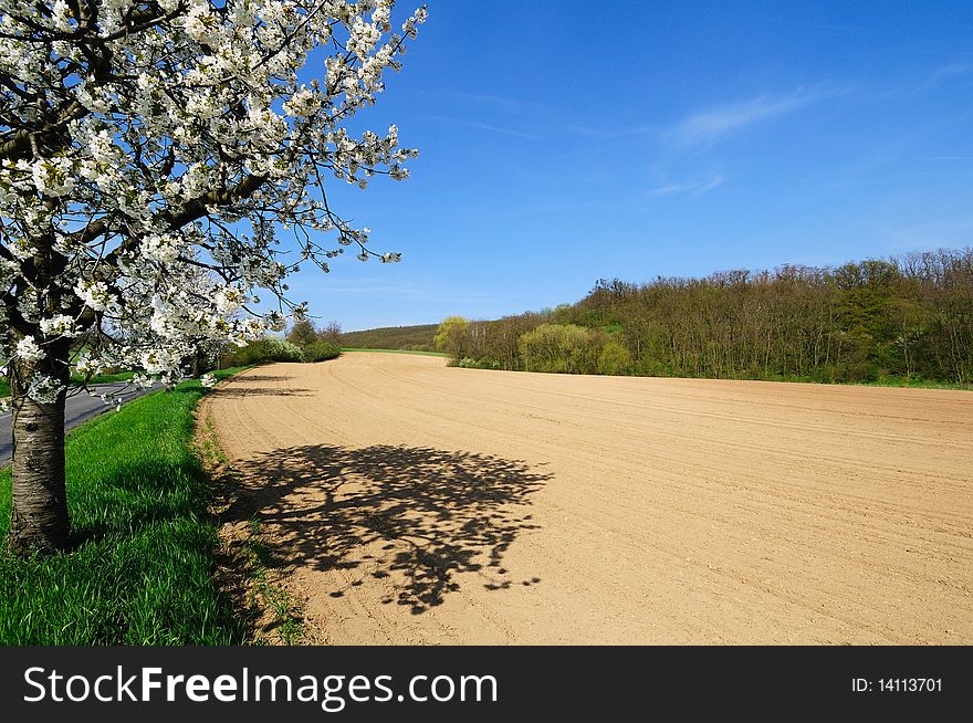 Picturesque View Of Plowed Field
