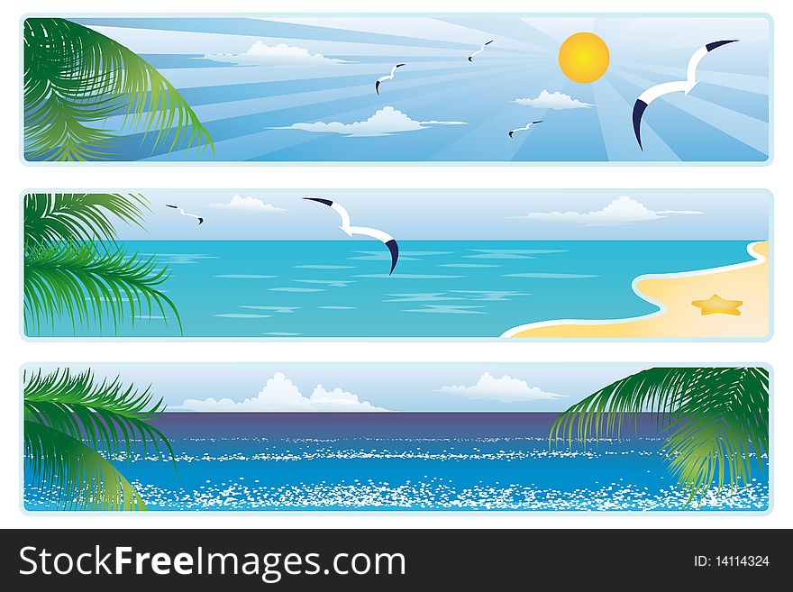 Summer Banner With Palm Trees.