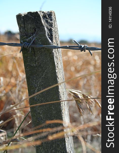 Barbed wire fence with posts and dry grasses growing around the fence