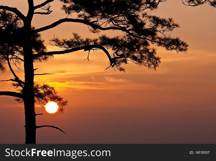 Sunrise at Pha Nok Aen, Phu Kradueng National Park, Loei Thailand