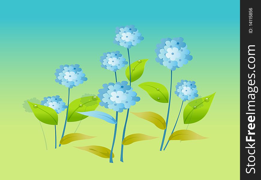 Blue flowers