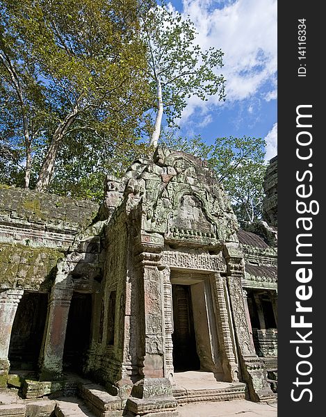 Ta Prohm temple within the Angkor Temples, Cambodia