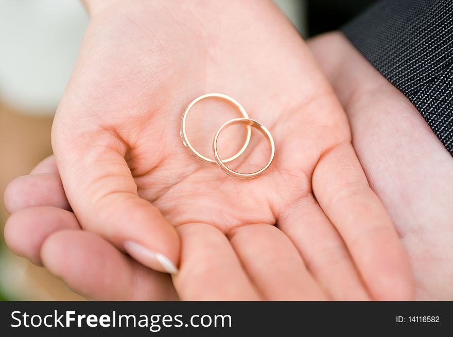 Bride & groom's hands holding their wedding rings. Bride & groom's hands holding their wedding rings