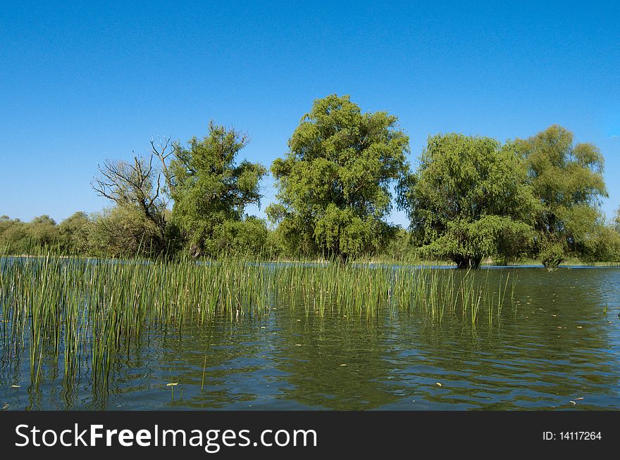 Water Landscape In Danube Delta