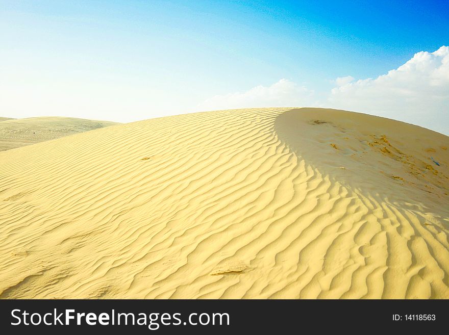 A sand dune with two grass tussocks and a cloudy sky