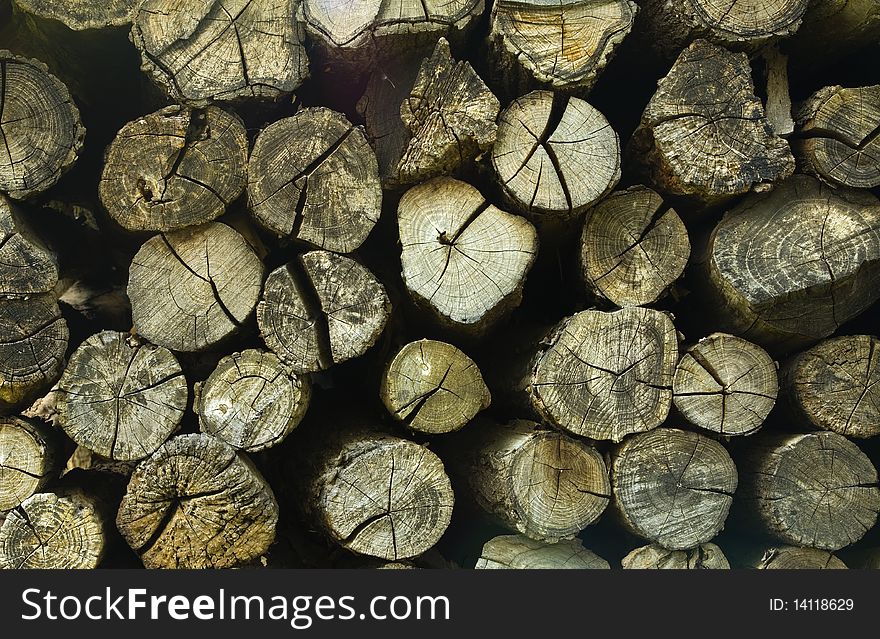 Pattern of tree peaces prepared for winter season. Pattern of tree peaces prepared for winter season.