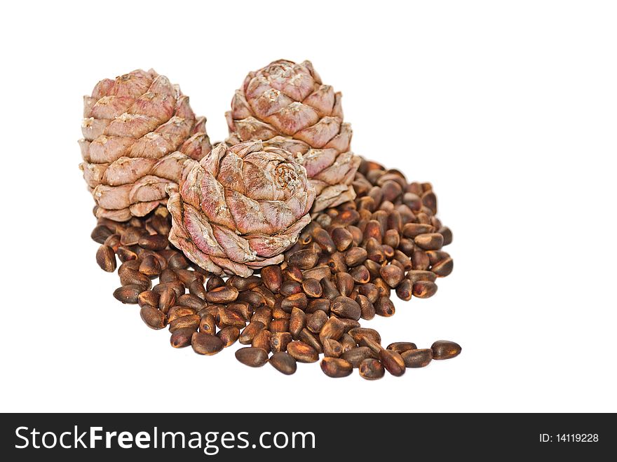 Cedar nutlets on a white background