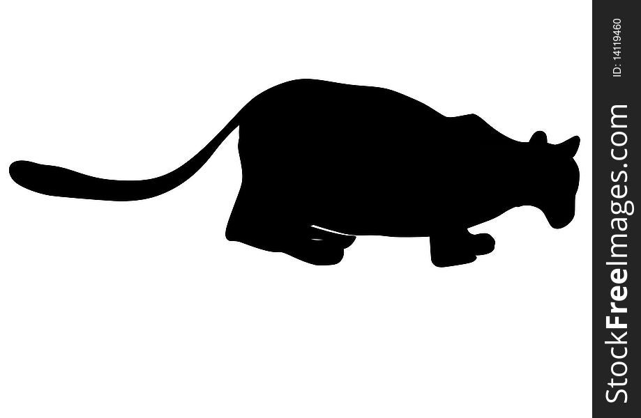 Vector black silhouette of lioness
