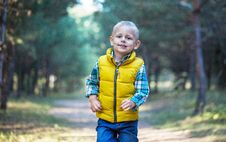 A Little Boy Walks Along A Forest Path Royalty Free Stock Photos