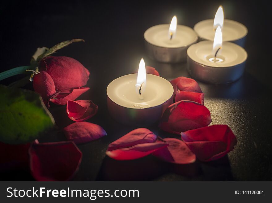 Four tea candles and red rose petals in the dark with shallow depth of focus. Four tea candles and red rose petals in the dark with shallow depth of focus