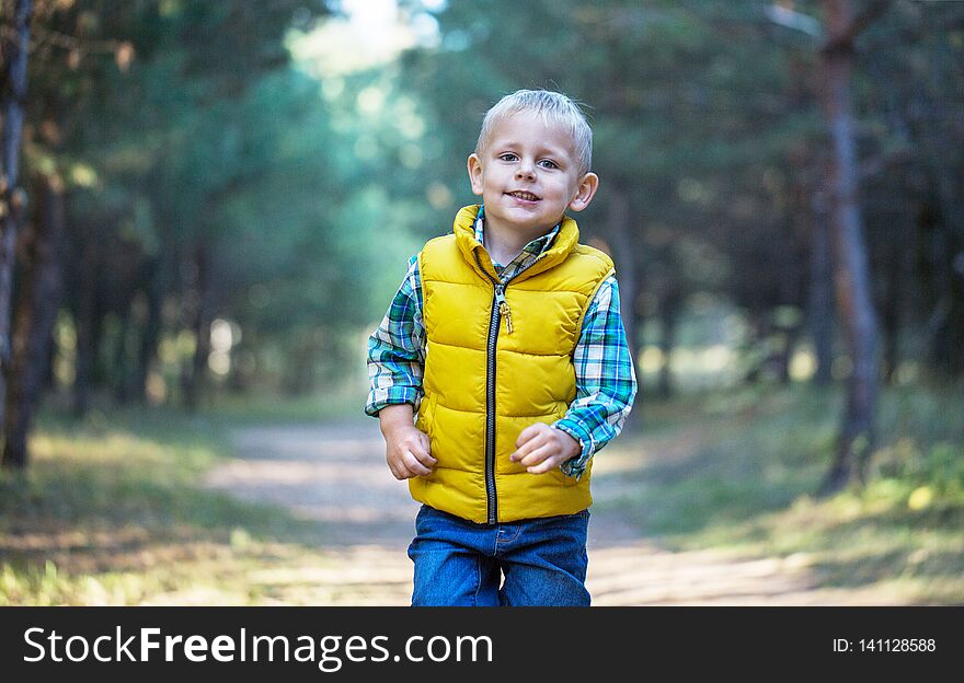 A little boy walks along a forest path and looks into the camera on a sunny autumn day