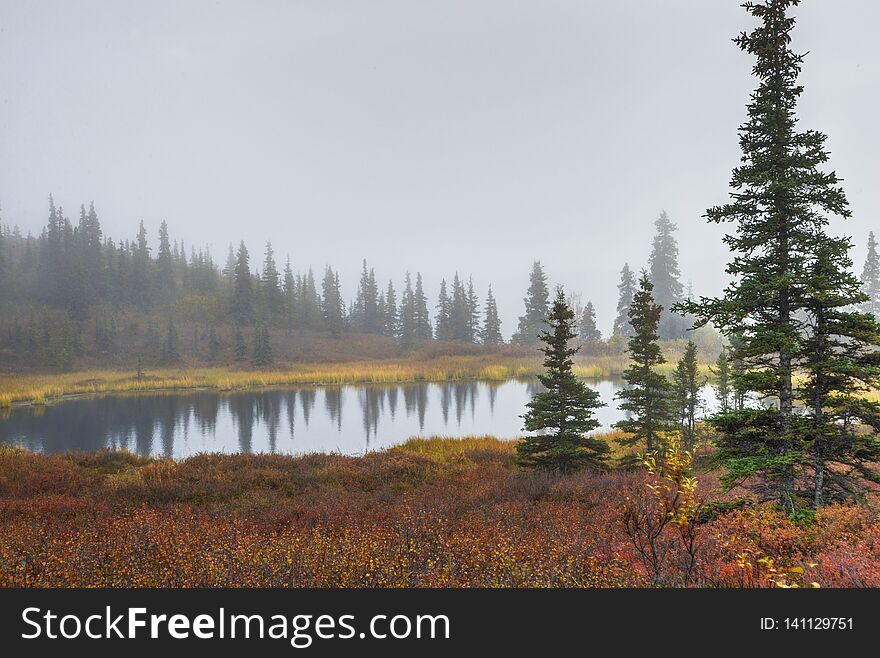 Fog And Yellow Grasses Surround A Small Lake In Alaska.