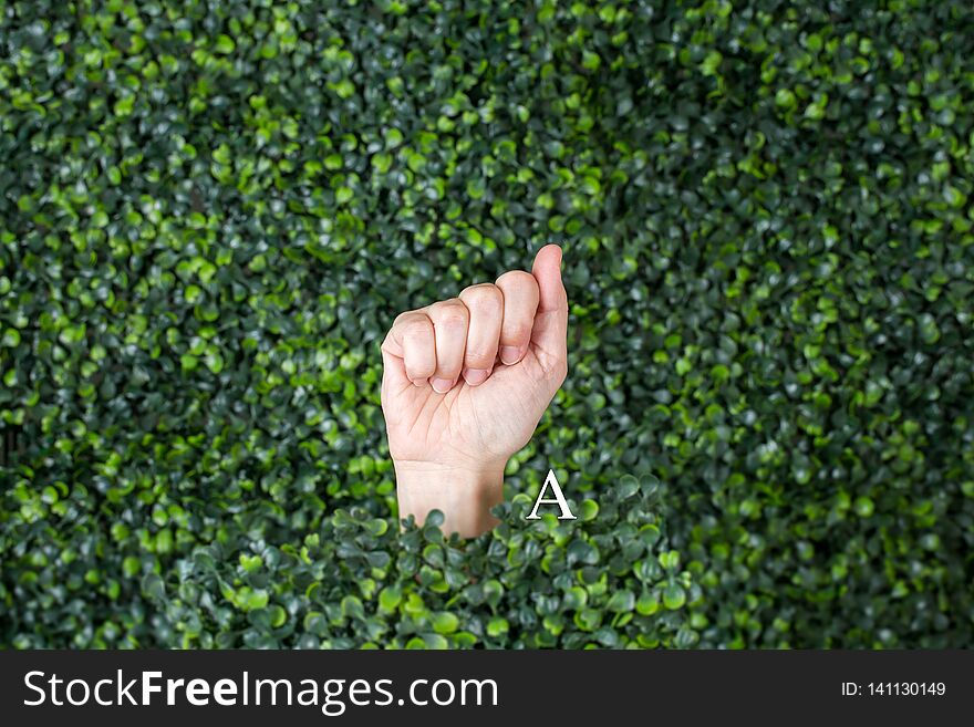 Sign Language Letter A made with hand against green plant background