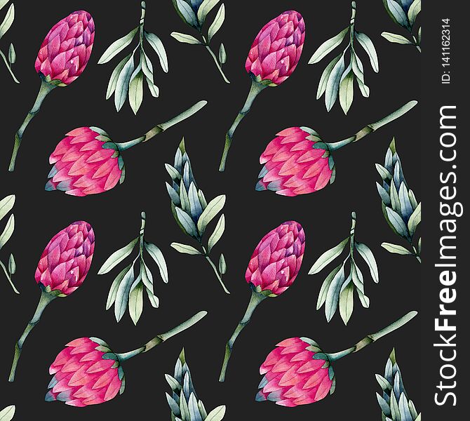 Watercolor pink protea flowers, green branches seamless pattern, hand painted on a dark background