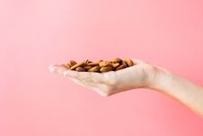 Young Woman Hand Holding Almonds On Pink Background Royalty Free Stock Image