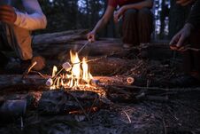 Company Of Friends Fries Delicious Marshmallows On A Bonfire, On A Summer Evening In The Woods Royalty Free Stock Photos