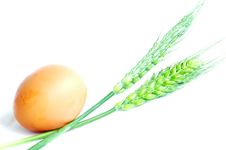 Egg And Wheat Royalty Free Stock Image