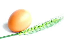 Egg And Wheat Stock Photography