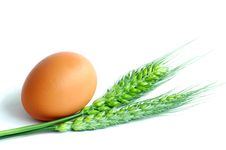 Egg And Wheat Stock Image