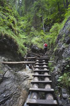 Tourist Girl Walking Through The Mountain Forest Royalty Free Stock Photo Tourist Girl Walking Through The Mountain Forest Royalty Free Stock Photo