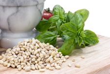 Pine Nuts (pignolias) & Basil Royalty Free Stock Photography Pine Nuts (pignolias) & Basil Royalty Free Stock Photography