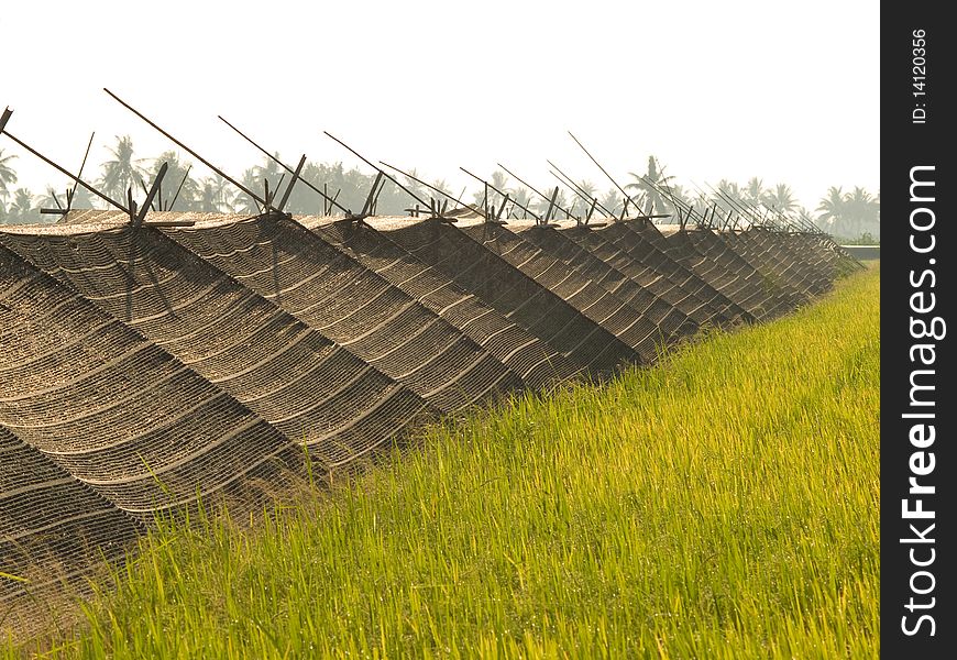 Shading net on spring field. Shading net on spring field