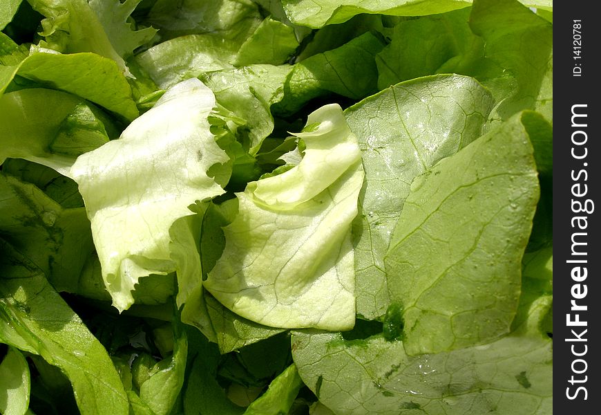 Detail photo of fresh salad background
