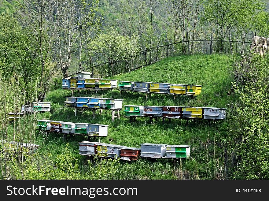 Many beehives posted on a green hill in the nature. Many beehives posted on a green hill in the nature