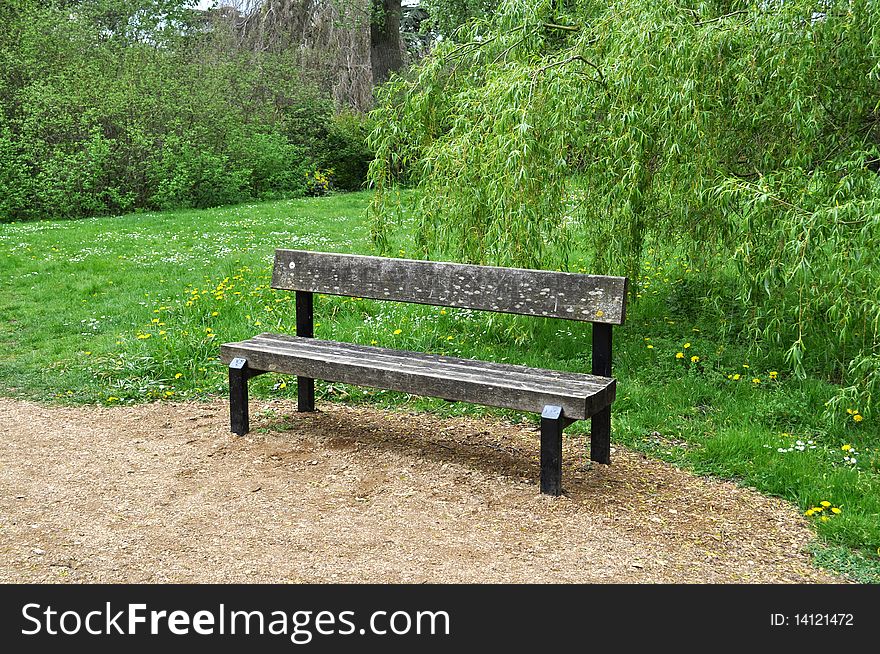 A bench on the park path on sunny day. A bench on the park path on sunny day.