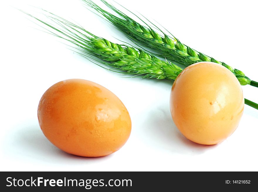 Green wheat and eggs isolated on white background