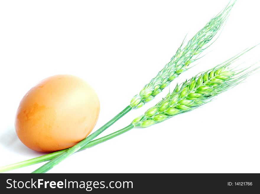 Egg and wheat ears isolated on white background