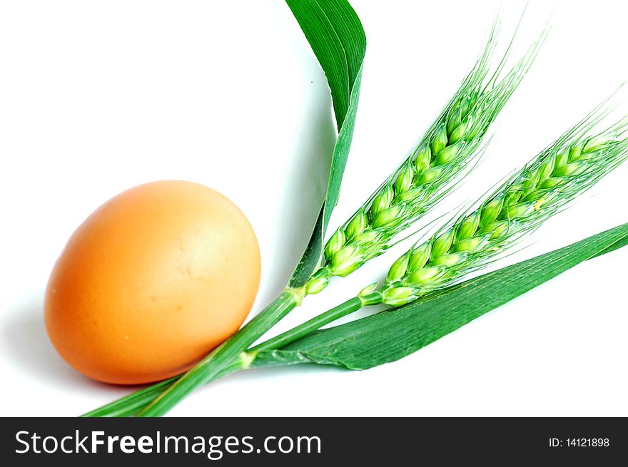 Egg and wheat ears isolated on white background.