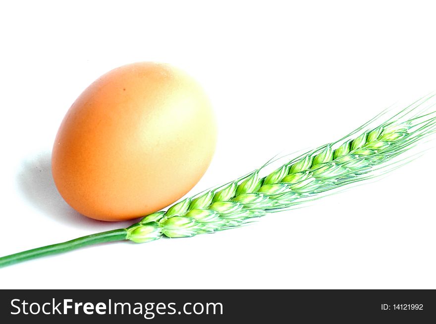 Egg and wheat ear isolated on white background