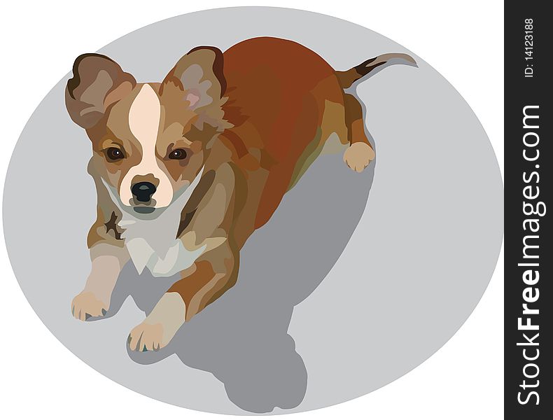 a vectorial image of little room dog of red is colours. a vectorial image of little room dog of red is colours