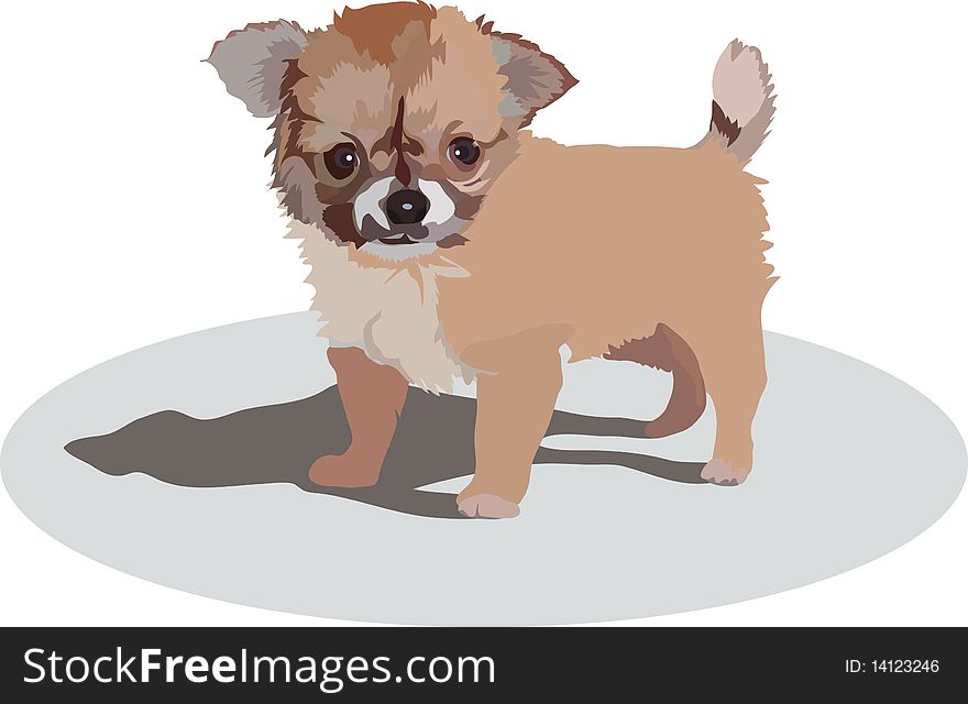 vectorial image of little puppy of unknown breed