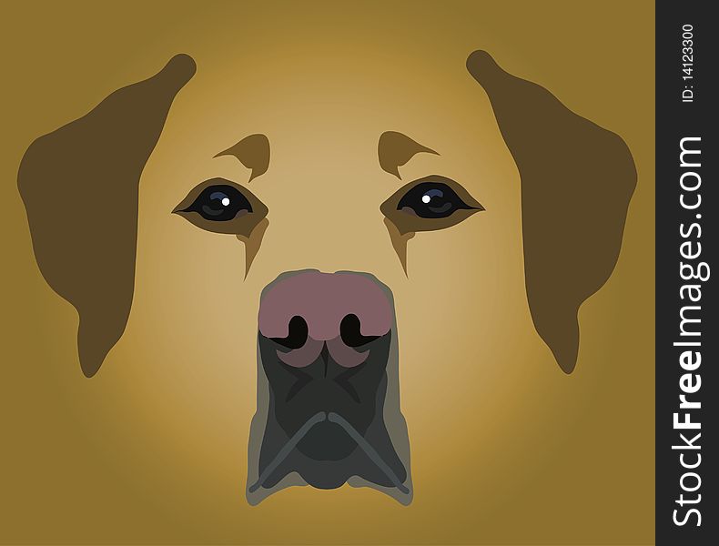 Muzzle Of Dog