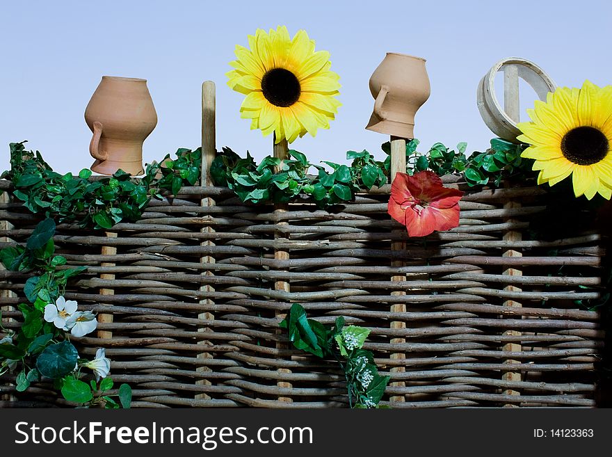 Wicker fence, sunflowers and pots. Wicker fence, sunflowers and pots