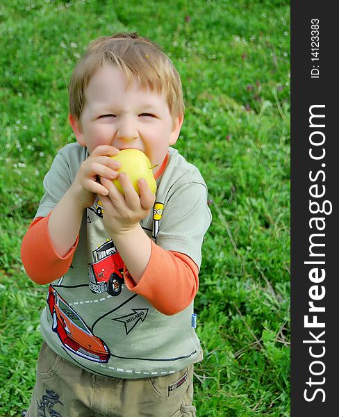 The little boy on walk on a meadow