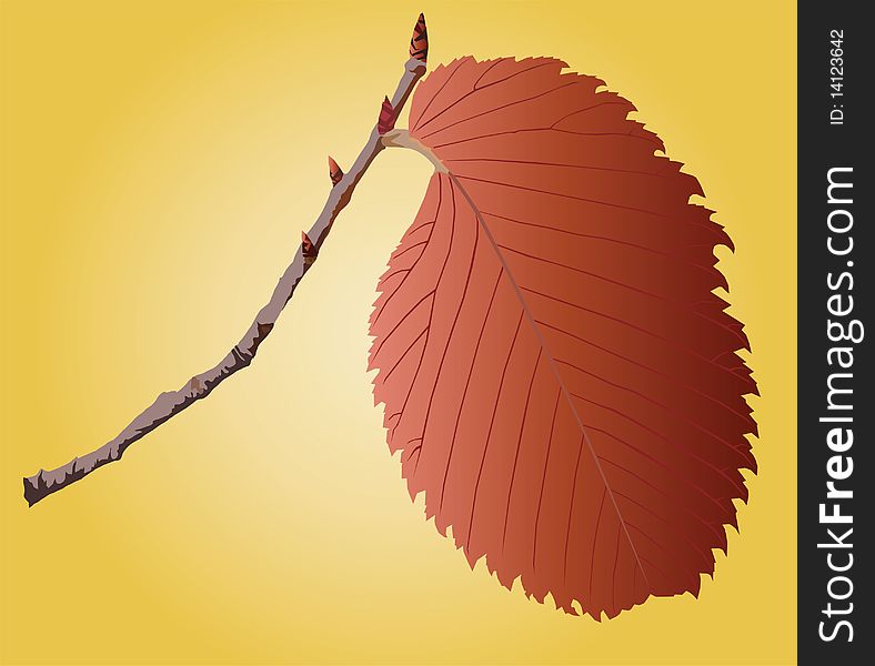 image of orange leaf on a sprig. image of orange leaf on a sprig