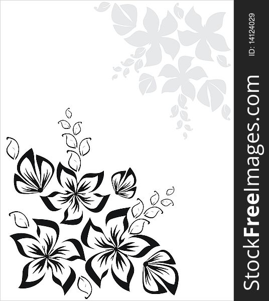 Collection of black floral element. Collection of black floral element