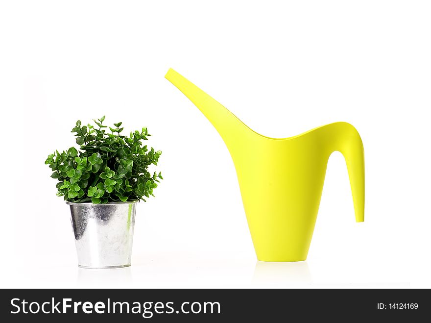 Potted flower and watering can in the studio on a white background. Potted flower and watering can in the studio on a white background.