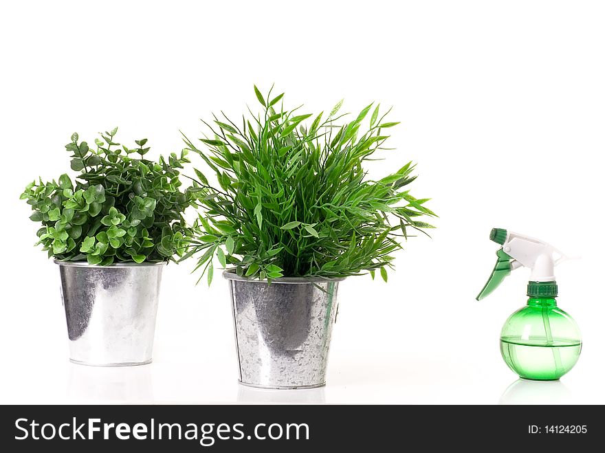 Two flowers in metal pots and spray bottle.