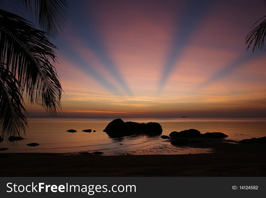 Sunset on the sea with sun rays, stones and palm. Sunset on the sea with sun rays, stones and palm