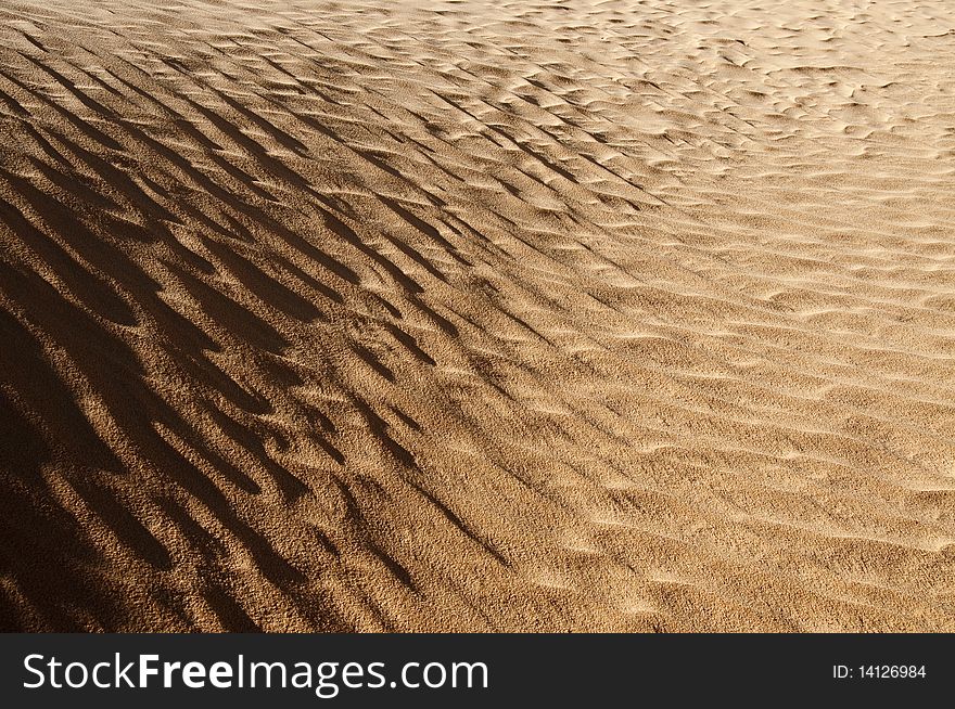 Shadows on sahara dune at sunrise. Shadows on sahara dune at sunrise