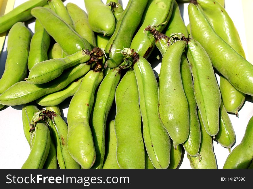 Freshly picked broad beans taken under the sunlight . Freshly picked broad beans taken under the sunlight .