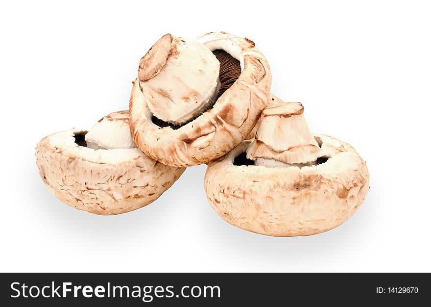 Mushrooms isolated over white background (includes clipping path)